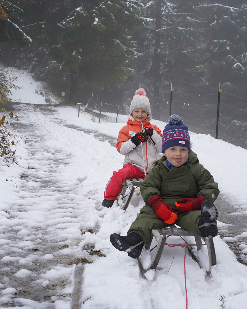 Jasper.Olivia.Austria.Sled