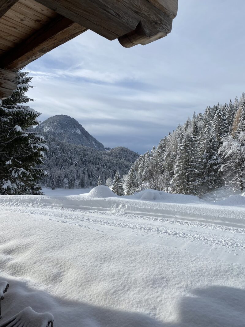 snowshoeing from austrian chalet