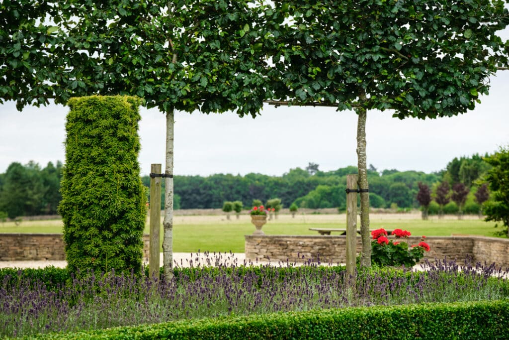 Garden3