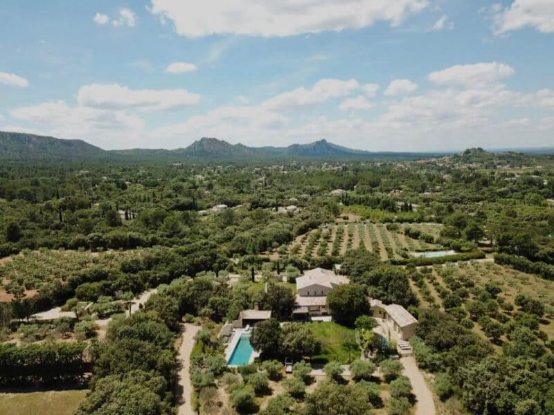 Farmhouse in Provence with vineyards in les Alpilles