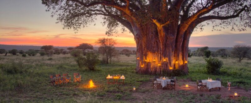Northern-Tanzania-experience-013