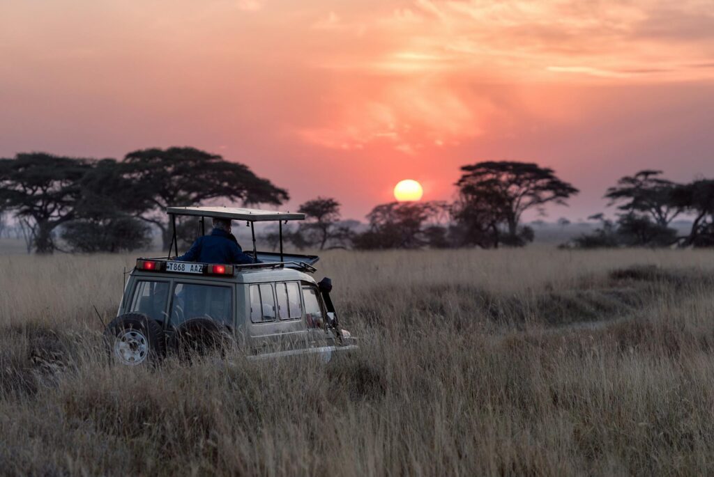 Northern-Tanzania-experience-033