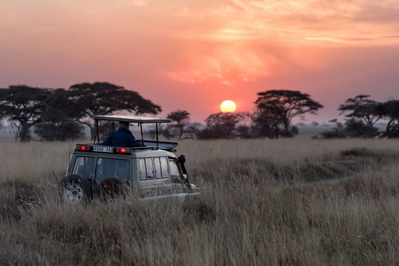 Northern-Tanzania-experience-033