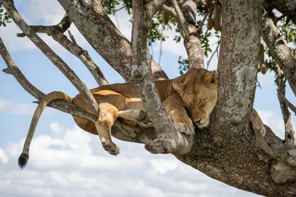 Northern-Tanzania-experience-040