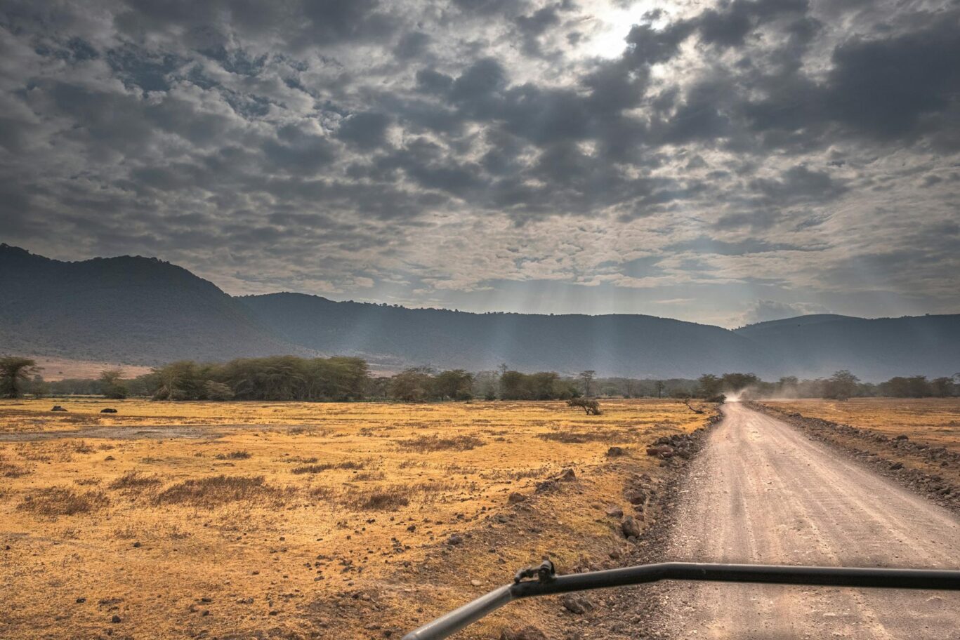 Northern-Tanzania-experience-043