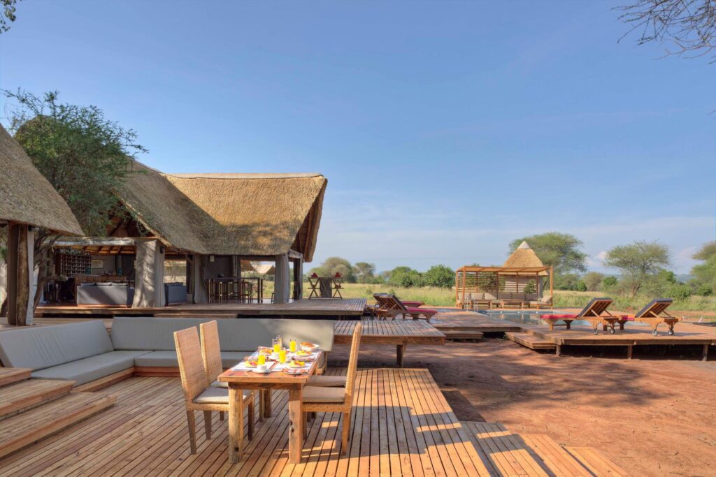 Northern-Tanzania-experience-047