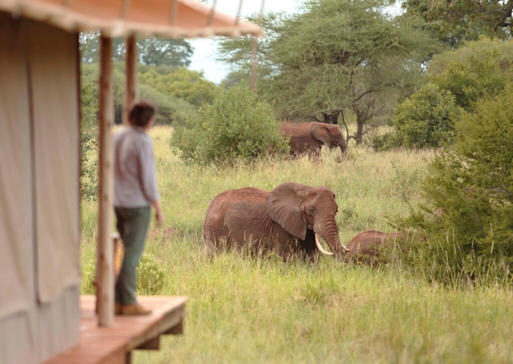 Northern-Tanzania-experience-09