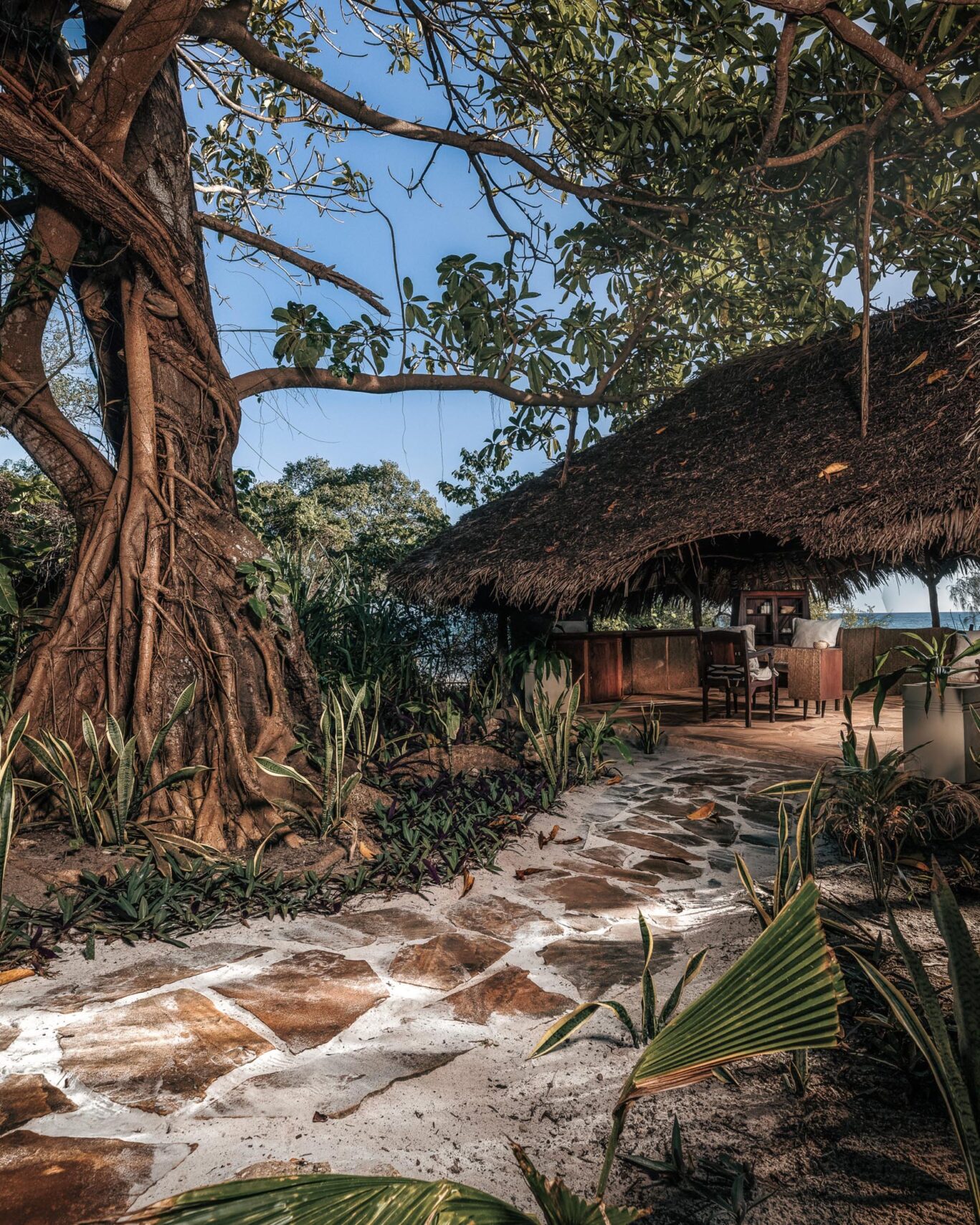 Pemba-Island-06