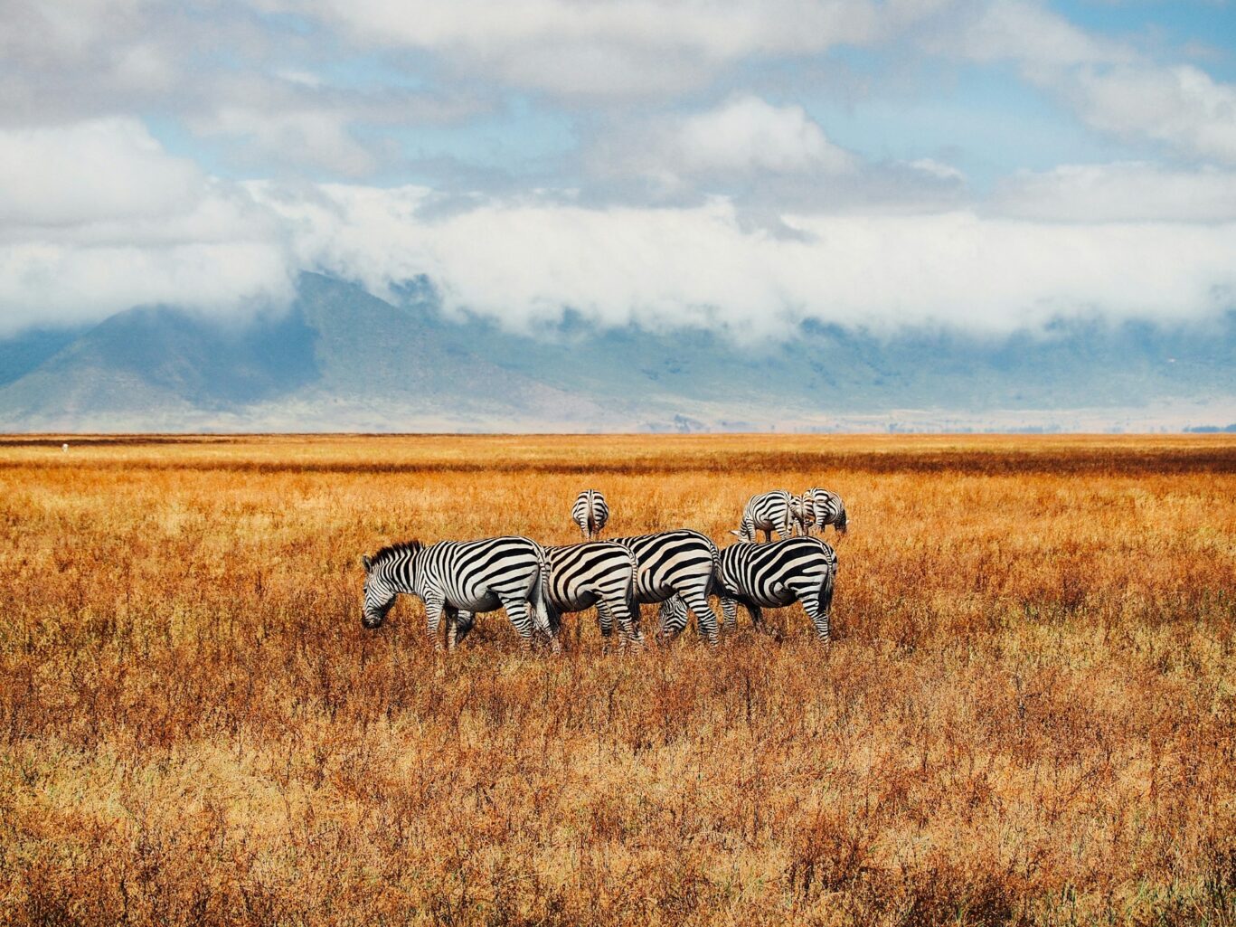 jorge-tung–5Betfvtgso-unsplash