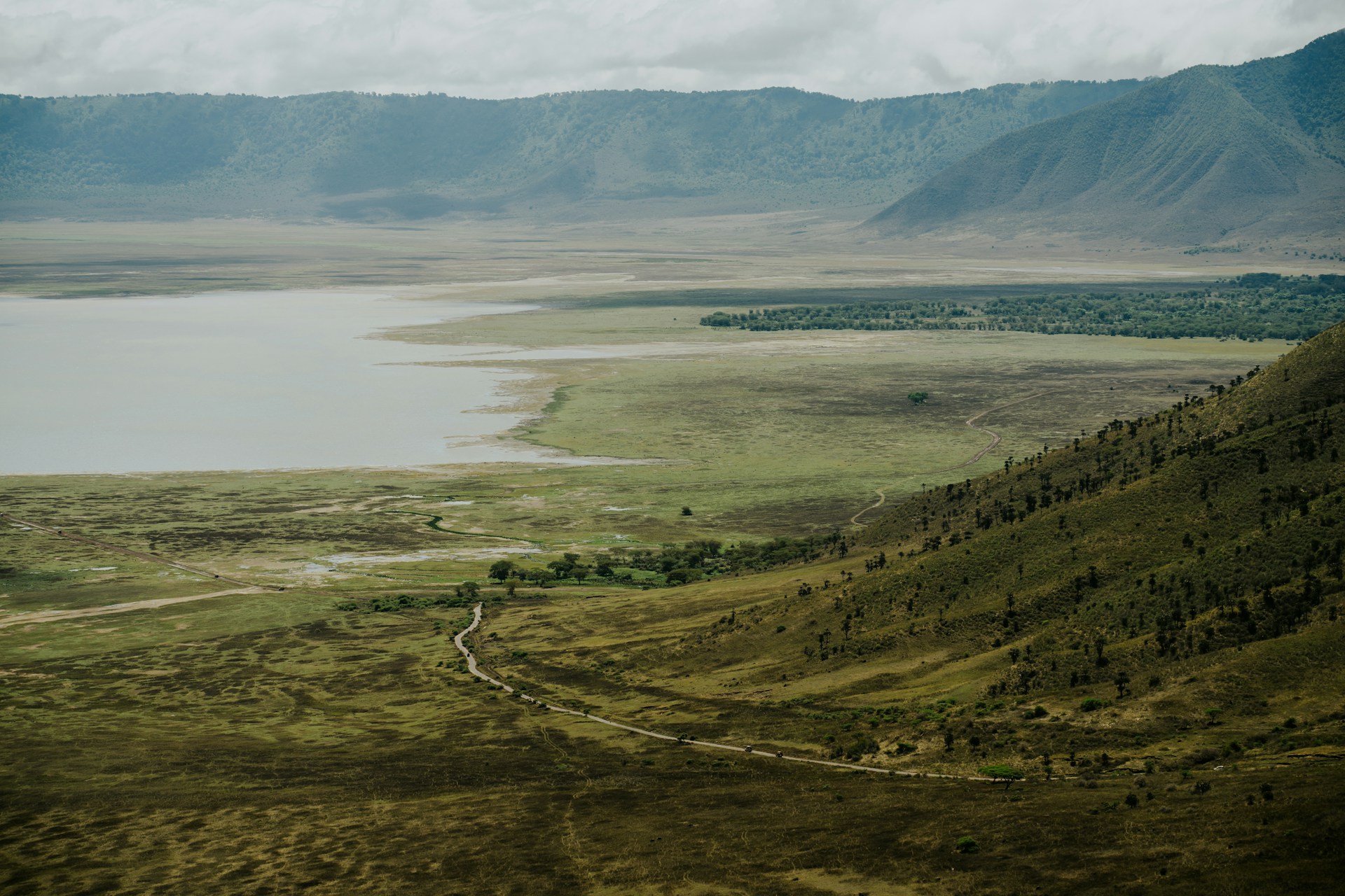 matthew-stephenson-BlQTC_JzRLY-unsplash
